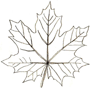draw-leaves