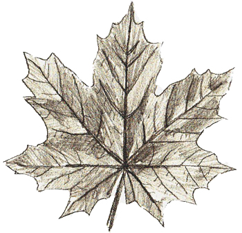 draw-leaves